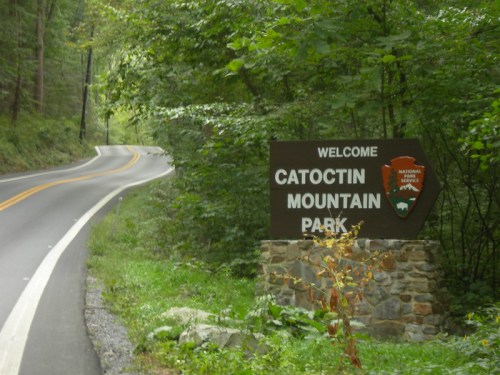 Welcome sign for Catoctin Mountain Park beside a winding road, surrounded by lush green trees.