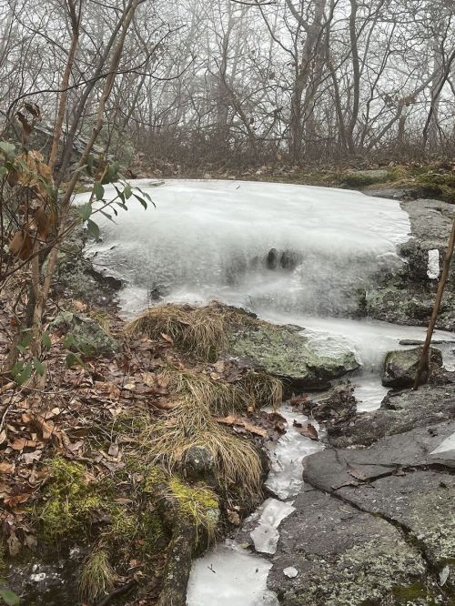 A frozen waterfall flows over rocky terrain, surrounded by bare trees and patches of grass in a misty landscape.