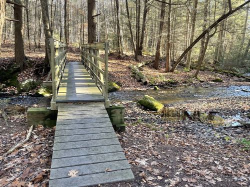 A wooden bridge spans a small stream in a forest, surrounded by trees and fallen leaves on the ground.
