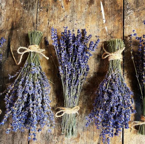 Bunches of dried lavender tied with twine, arranged on a rustic wooden surface.