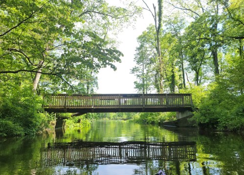 A wooden bridge spans a serene river, surrounded by lush green trees and reflections on the water's surface.