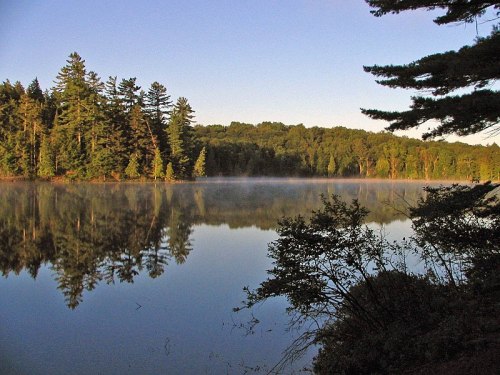 A serene lake at dawn, surrounded by trees, with mist rising from the water and reflections on the surface.