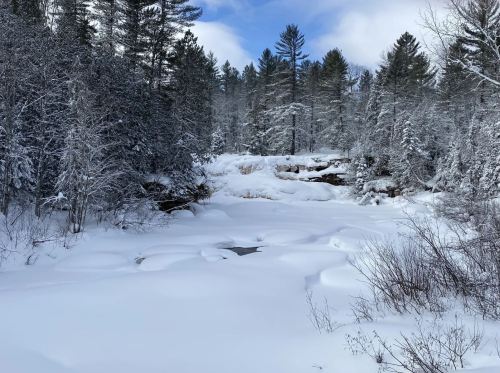 A snowy landscape with a frozen river, surrounded by tall trees and a cloudy blue sky.