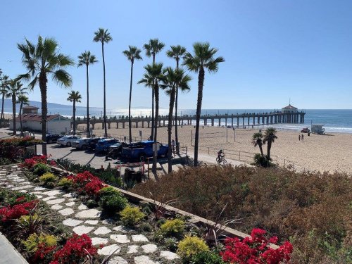 A sunny beach scene with palm trees, a pier, and colorful flowers in the foreground. Waves gently lap at the shore.