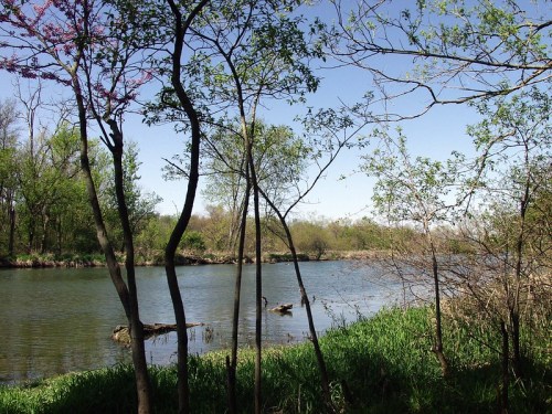 A serene river scene framed by trees and greenery, with calm water reflecting the blue sky.