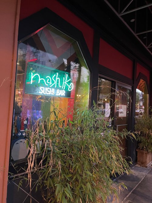 Neon sign for "Mashiko Sushi Bar" in a colorful window, surrounded by bamboo plants outside the restaurant.