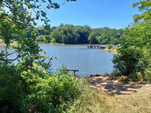 A serene lake surrounded by greenery, with a wooden dock extending into the water under a clear blue sky.