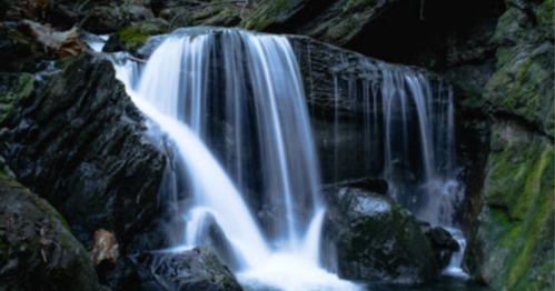 A serene waterfall cascading over dark rocks, surrounded by lush greenery in a tranquil forest setting.