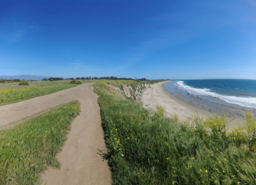 A sandy path along a grassy area leads to a beach with gentle waves under a clear blue sky.