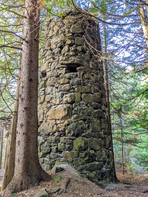 A tall, moss-covered stone tower surrounded by trees in a forested area.