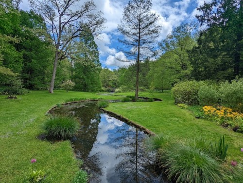 A serene park scene featuring a winding stream, lush greenery, and a bright blue sky with fluffy clouds.