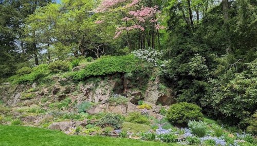 Lush garden with colorful flowers and greenery on a rocky hillside, surrounded by trees and a clear sky.