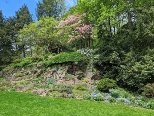 Lush green hillside with blooming trees and colorful flowers, surrounded by vibrant foliage under a clear blue sky.