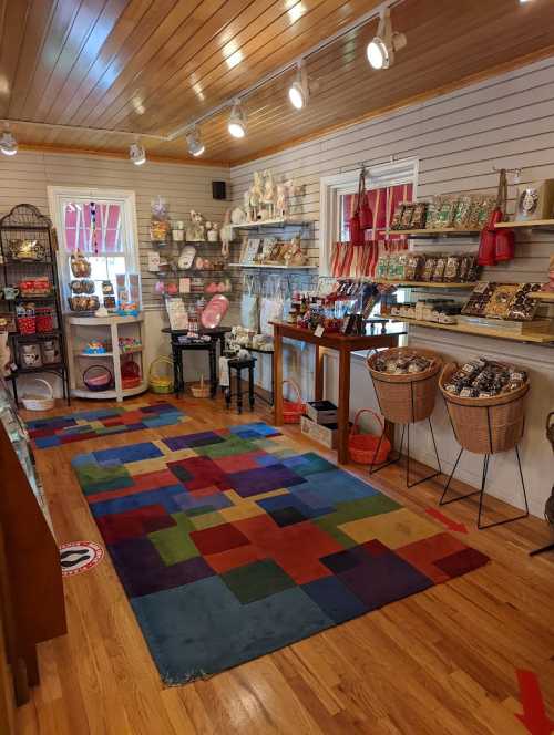 A colorful rug in a cozy shop filled with various decorative items and gifts on shelves and tables.