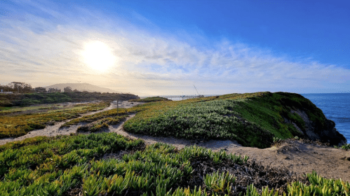 A coastal landscape with lush greenery, a clear blue sky, and the sun setting over the ocean in the background.