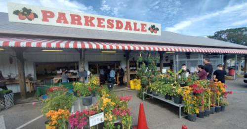 A vibrant market entrance with colorful flowers and plants for sale, under a striped awning, on a sunny day.