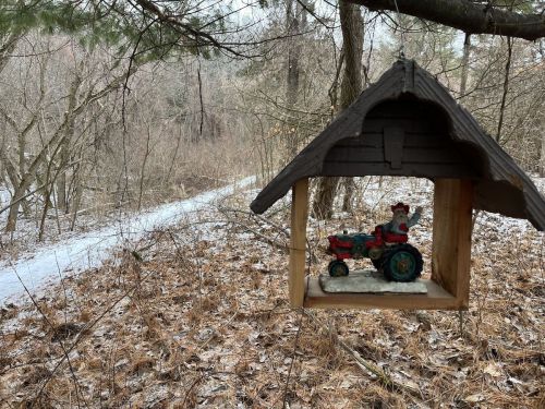 A small wooden birdhouse with a Santa figurine on a tractor, set against a snowy, wooded path.