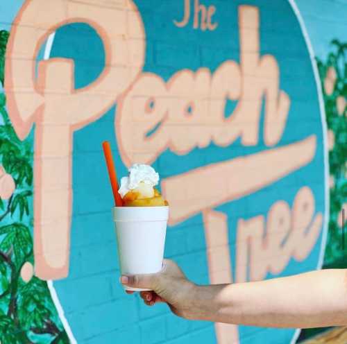 A hand holds a cup of dessert topped with whipped cream in front of a colorful mural that reads "The Peach Tree."