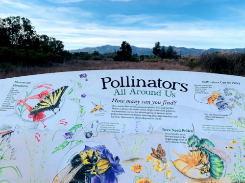 A sign about pollinators in a natural setting, with illustrations of insects and plants against a scenic backdrop.