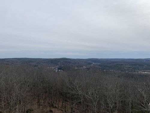 A panoramic view of a hilly landscape with bare trees under a cloudy sky.
