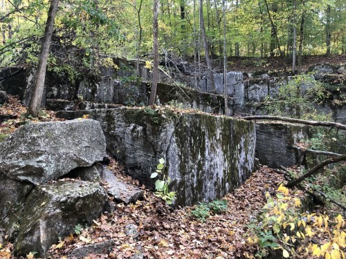 A moss-covered stone structure surrounded by trees and fallen leaves in a wooded area.