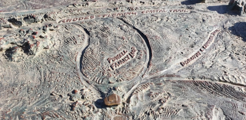 A close-up of a textured map showing the Rhodes Fleming Coastal Trail and Powell Family Loop.
