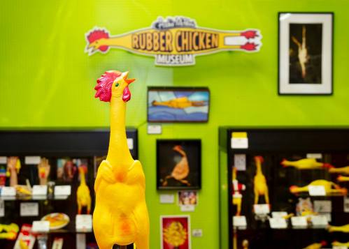 A rubber chicken in front of a vibrant green wall featuring the Rubber Chicken Museum sign and various chicken displays.