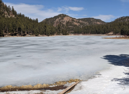 A frozen lake surrounded by pine trees and mountains under a clear blue sky.