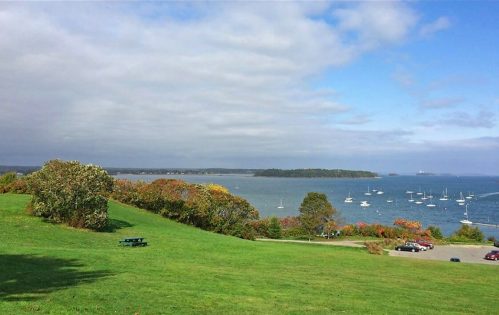 A scenic view of a green hillside overlooking a bay with sailboats, under a partly cloudy sky.