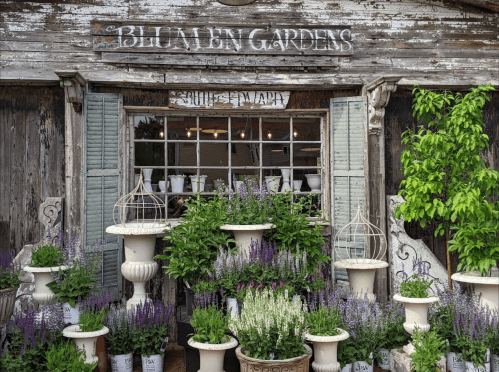 A rustic garden shop with potted plants and flowers displayed on white pedestals and a weathered wooden facade.