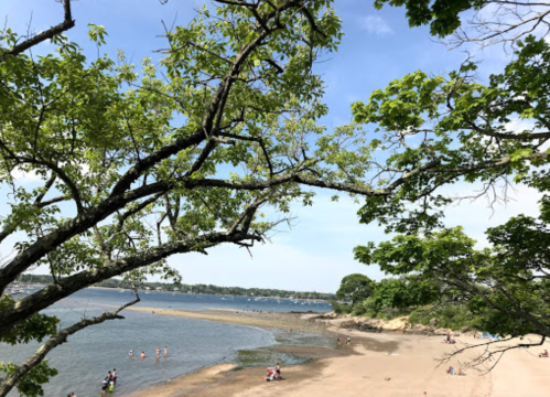 A serene beach scene with trees framing the view, people enjoying the water, and a clear blue sky.