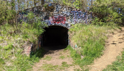 A stone tunnel entrance surrounded by greenery and graffiti, leading into a dark opening.