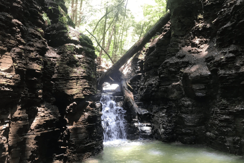 A serene waterfall cascades between rocky cliffs, surrounded by lush greenery in a tranquil forest setting.