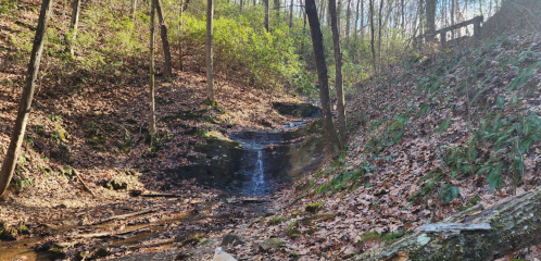 A serene forest scene featuring a small waterfall cascading over rocks, surrounded by trees and fallen leaves.