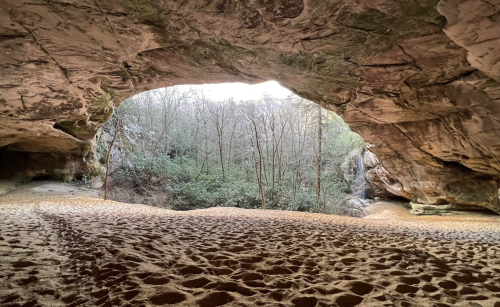 A sandy cave entrance opens to a forested area with bare trees and soft light filtering through.