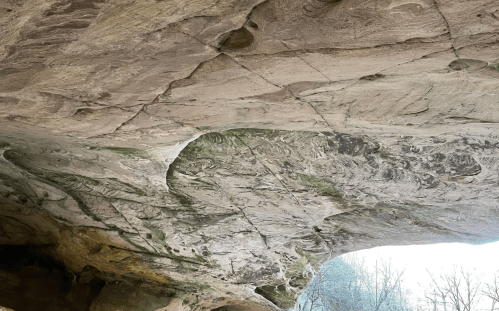 A close-up of a rocky cave ceiling with intricate patterns and textures, surrounded by natural light.