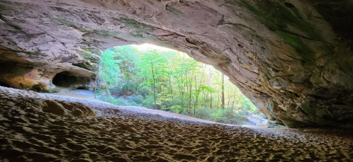 A sandy cave entrance opens to a lush green forest, illuminated by natural light.