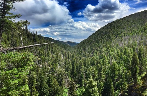 A lush green valley surrounded by mountains under a partly cloudy sky, showcasing dense forests and natural beauty.