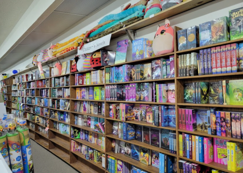 A colorful bookshelf filled with children's books, plush toys, and decorative items in a cozy library setting.