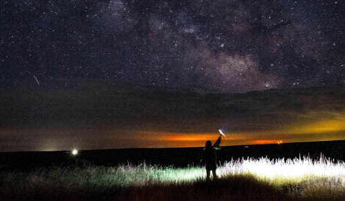 A person stands in a field at night, holding a light, with a starry sky and the Milky Way visible above.