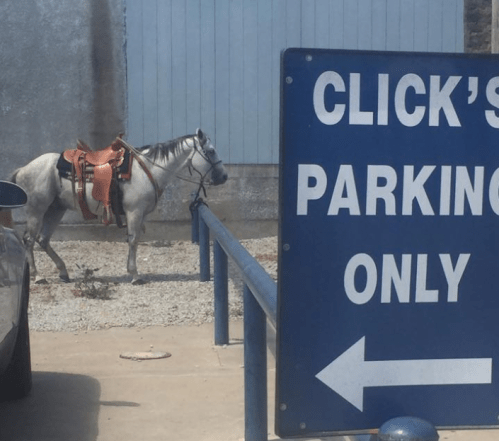 A gray horse with a saddle stands next to a sign that reads "CLICK'S PARKING ONLY" with an arrow pointing left.