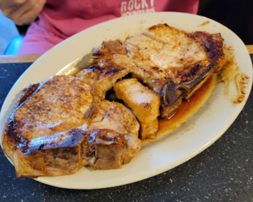 Two juicy, grilled pork chops on a white plate, drizzled with savory sauce.