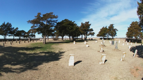 A peaceful cemetery with gravestones scattered among trees under a clear blue sky.