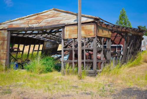 A dilapidated shed with a rusted roof, partially collapsed, surrounded by tall grass and overgrown vegetation.