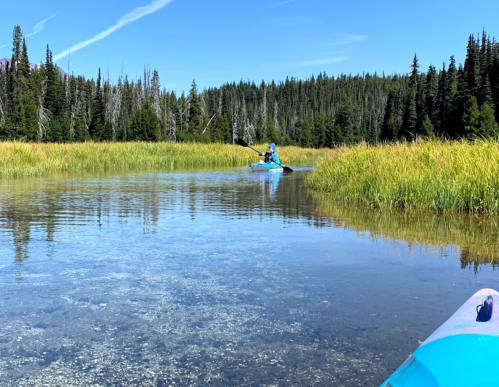 A person in a blue kayak paddles through a calm, grassy waterway surrounded by trees and clear blue skies.