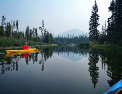 A person in a yellow kayak paddles on a calm lake, surrounded by tall trees and a mountain in the background.