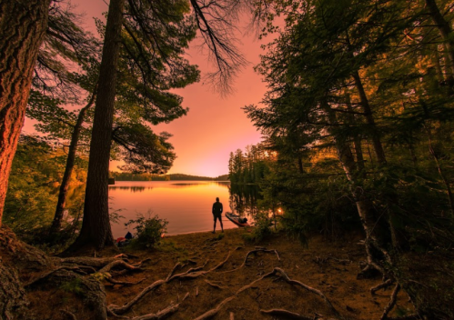 A silhouette of a person stands by a tranquil lake at sunset, surrounded by tall trees and a serene landscape.