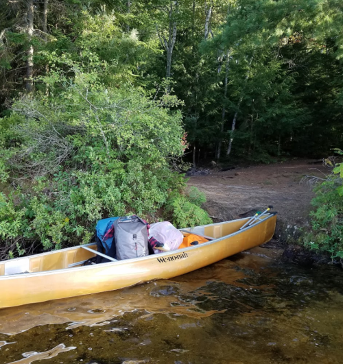 A yellow canoe is docked on a sandy shore surrounded by lush green trees and calm water.
