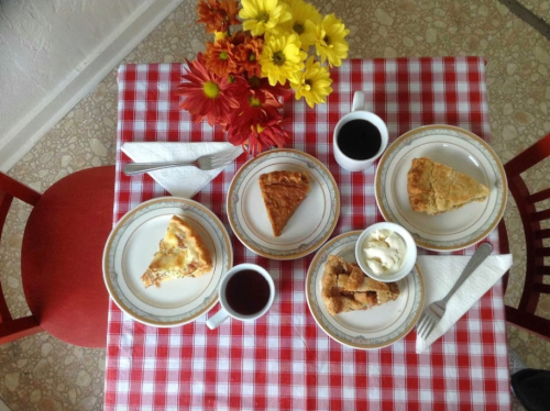 A checkered tablecloth with four plates of pie, coffee mugs, and a vase of colorful flowers.