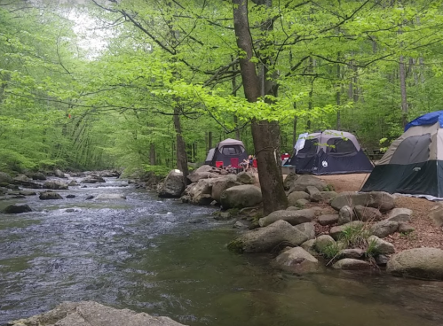 A serene campsite by a flowing stream, surrounded by lush green trees and tents set up along the water's edge.